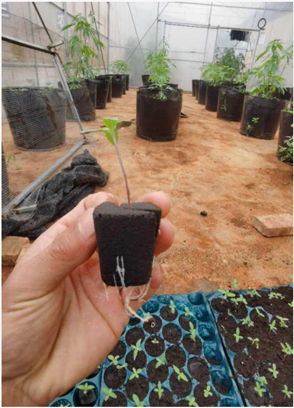HICOOL grow room climate controller supply for urban greening industry-2