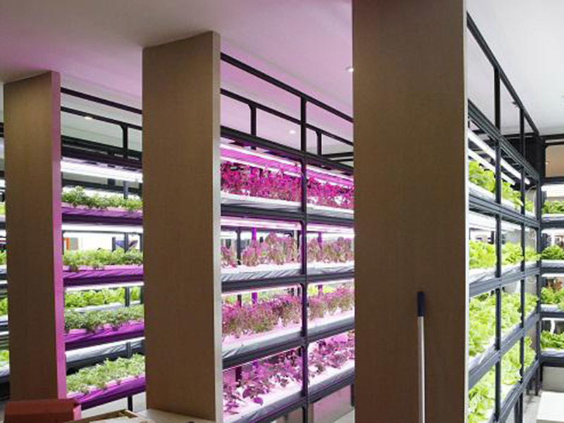 stable water source air conditioning with good price for horticulture