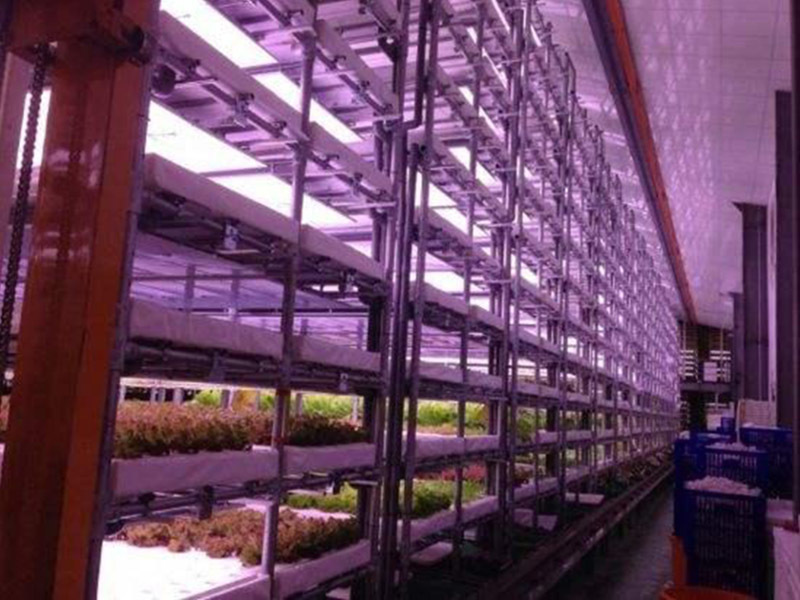 customized water cooled package system supply for horticulture