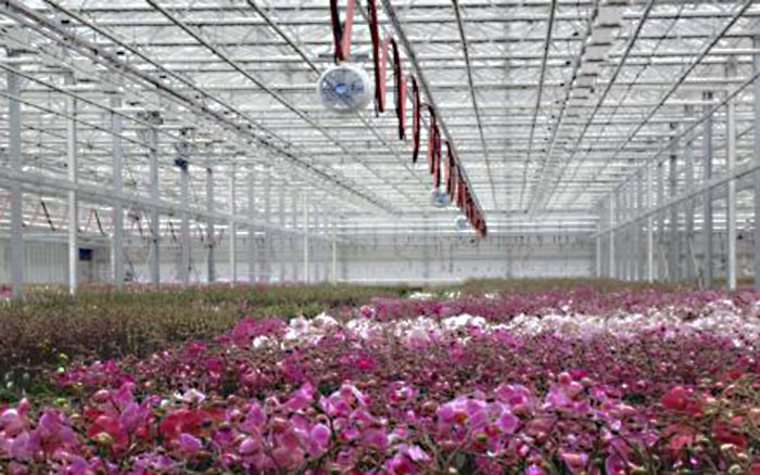 Hot direct and indirect evaporative cooling horticulture HICOOL Brand