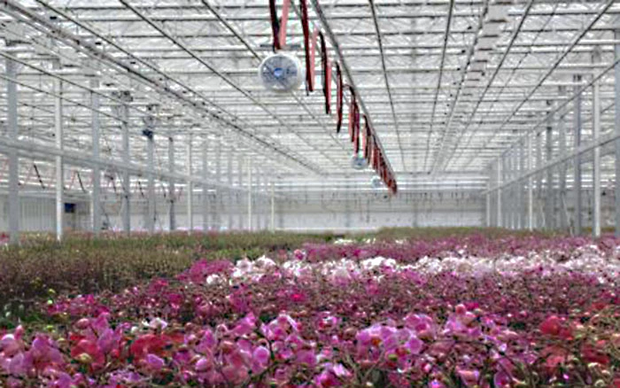 horticulture water direct and indirect evaporative cooling offices HICOOL company