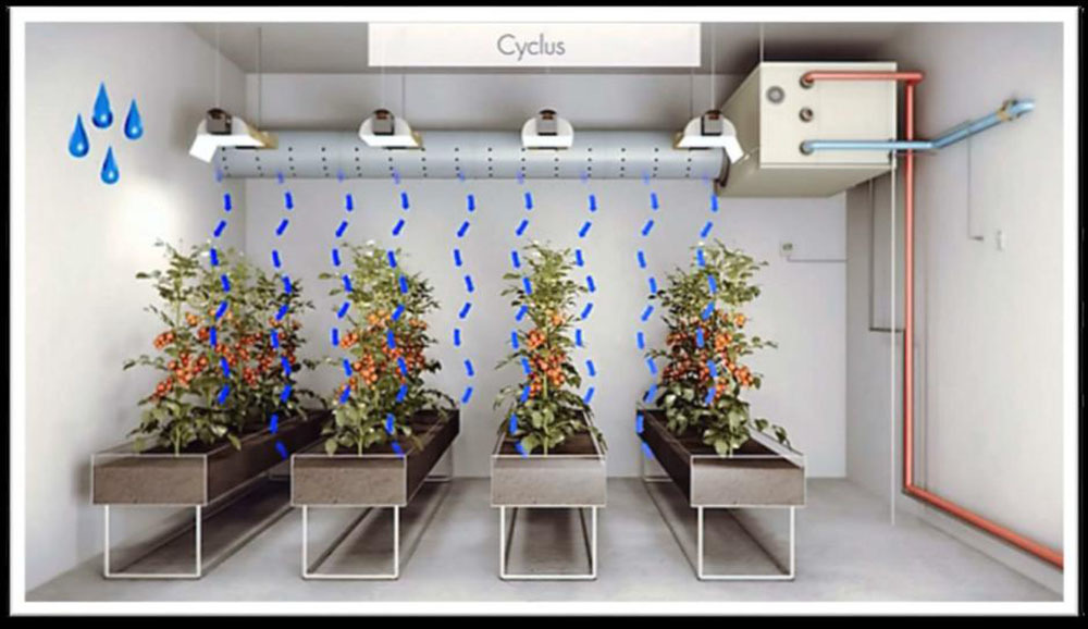 Hot evaporative cooling unit horticulture HICOOL Brand
